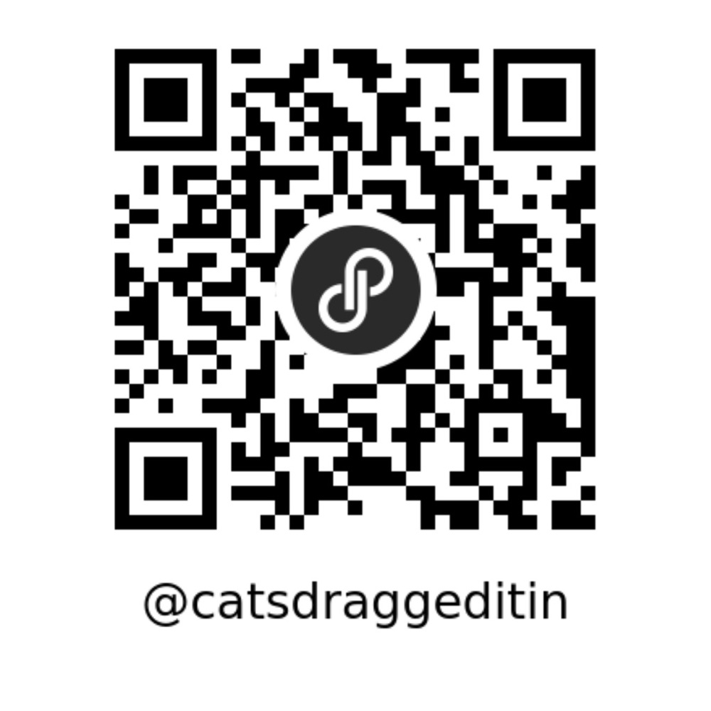 QR Code Makes Visits Kylo & His Fashion Finds Very Easy  @catsdraggeditin